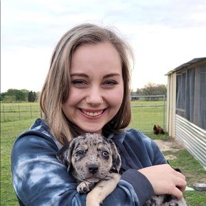 Meet your Posher, Bailey